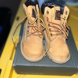Toddler boys wheat timberlands